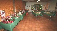 img_3912.jpg