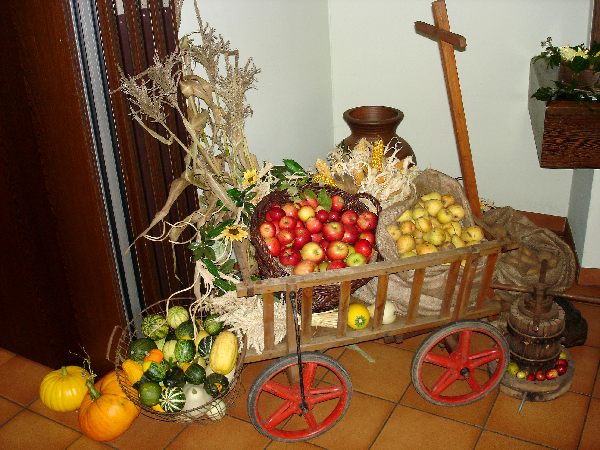 dsc03686.jpg