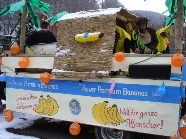 fastnacht2010-2.jpg