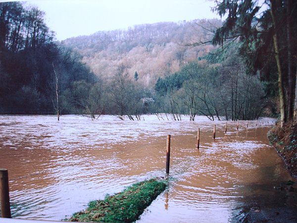 hochwasser95-1.jpg