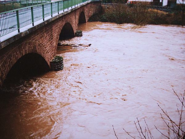hochwasser95-3.jpg