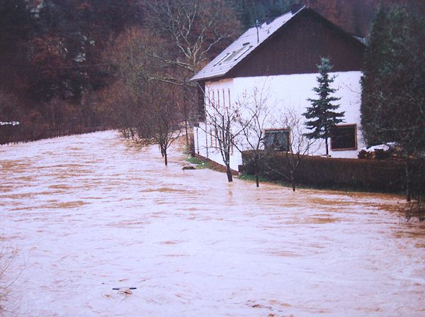 hochwasser95-4.jpg