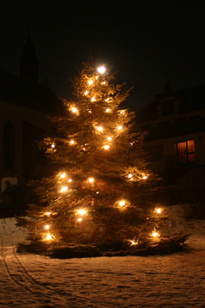 weihnachtsbaum_2009.jpg