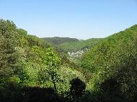 img_0047.jpg