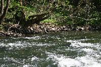 img_0058-2.jpg