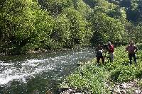 img_0058-3.jpg