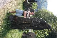 img_0367.jpg