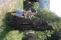 img_0368.jpg