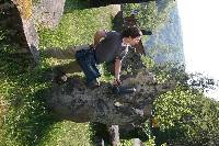 img_0374.jpg