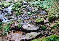 bachlauf-muehlstein.jpg
