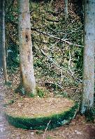muehlstein.jpg