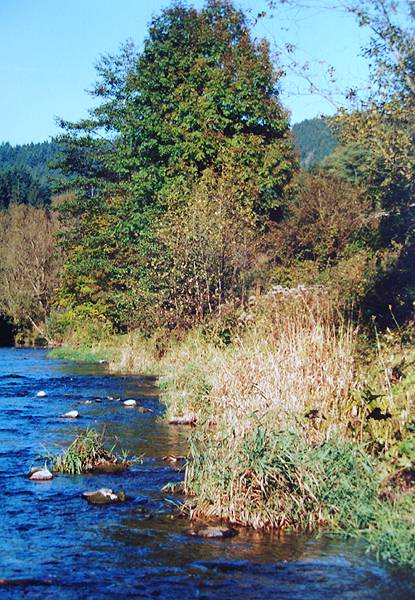kyllufer-herbst.jpg