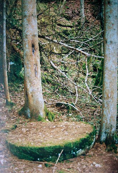 muehlstein.jpg
