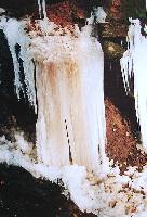 dsc00416.jpg