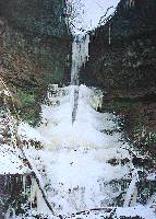 dsc00456.jpg